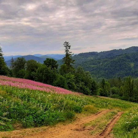 Шале Карпатська Казка สลาฟสเก ภายนอก รูปภาพ