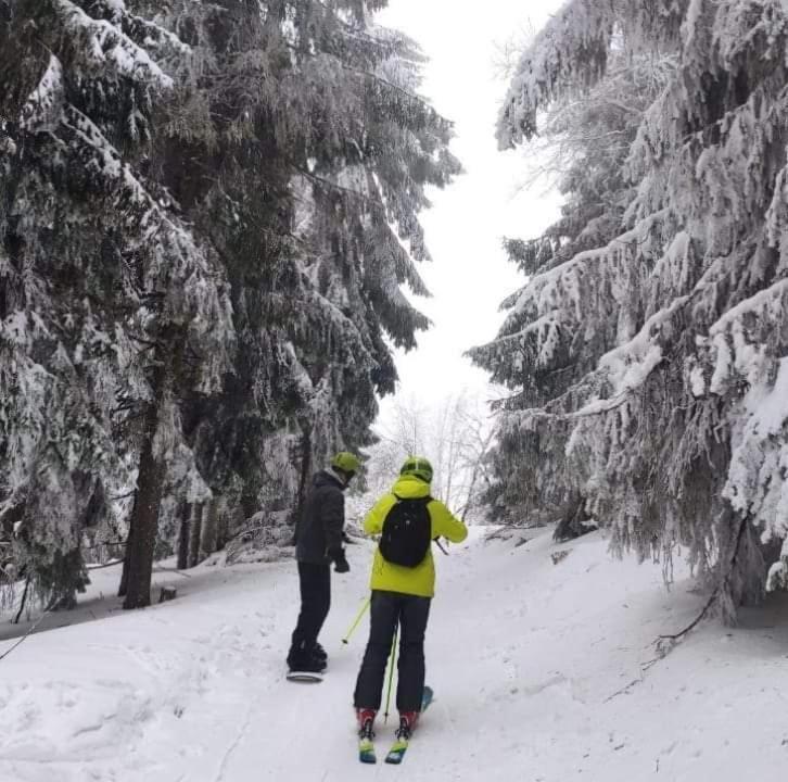 Шале Карпатська Казка สลาฟสเก ภายนอก รูปภาพ